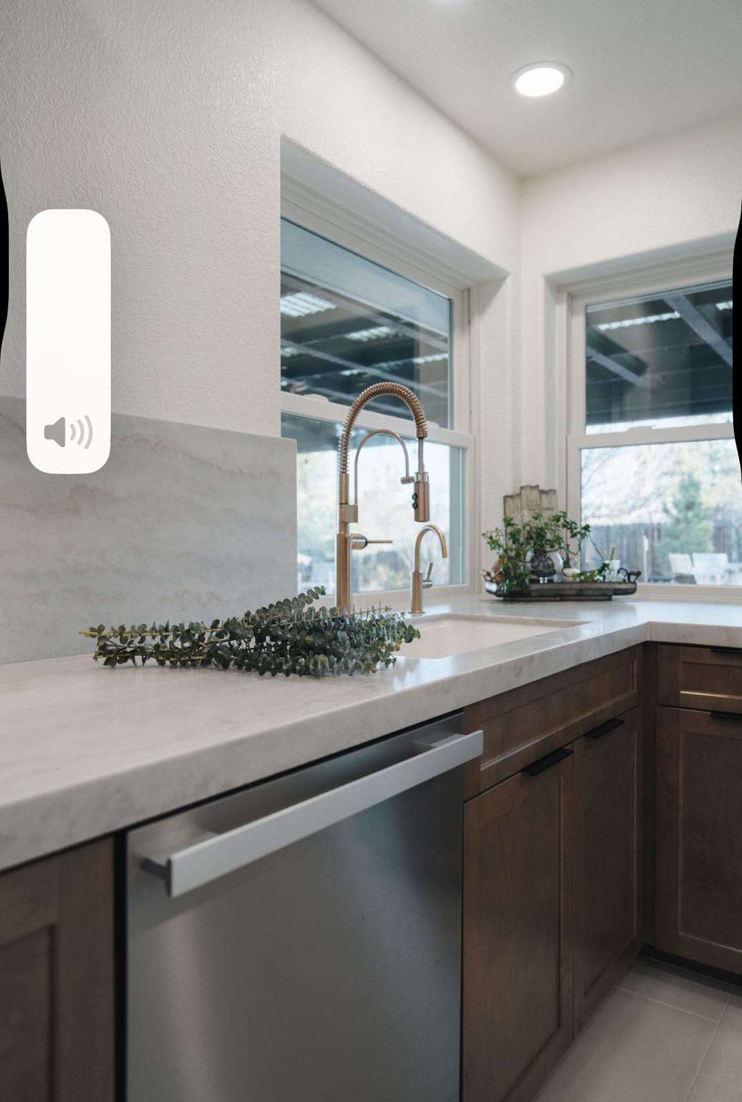 Kitchen sink and countertop detail